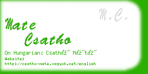 mate csatho business card